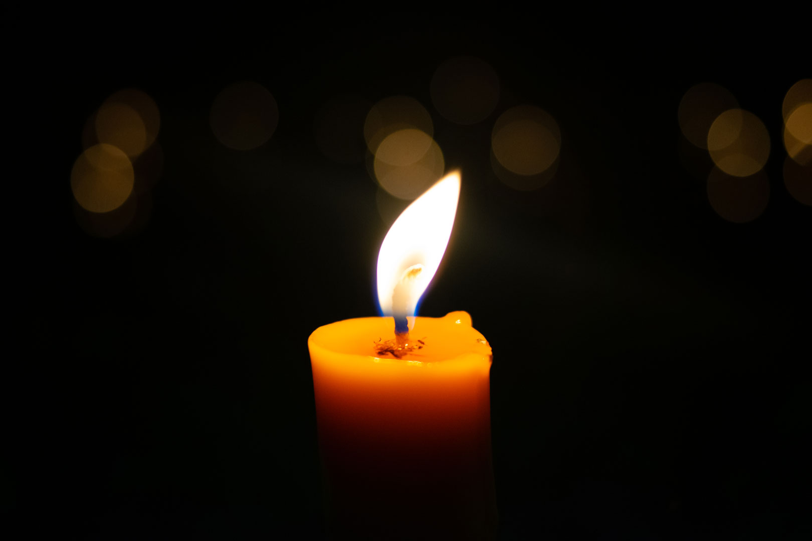 Zum Artikel "Licht in der Dunkelheit"