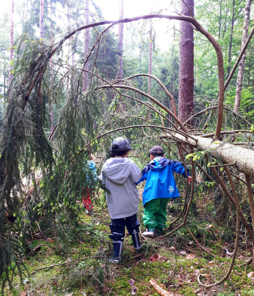 Zwei Kinder erkunden den Wald mit allen Sinnen.