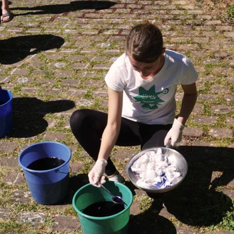 DSC06341